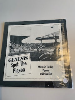 GENESIS-spot the pigeon- black