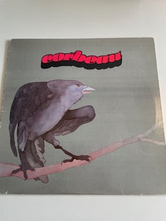 CORBEAU