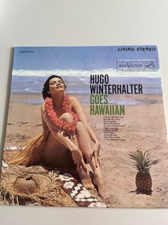 HUGO WINTERHALTER-goes hawaiian-